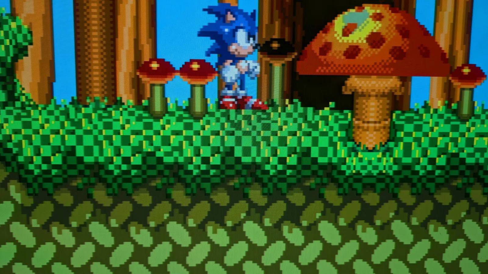 Image 3