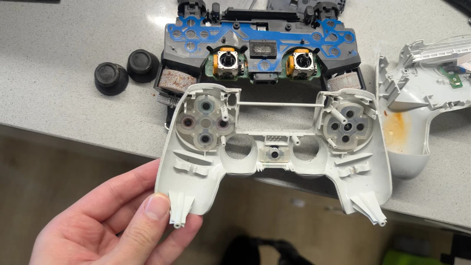 A hand holds the white front faceplate; behind it on the bench sits the green mainboard with its membrane flex (blue tracks, black carbon button contacts) and two analog stick modules (orange potentiometers), flanked by the two rumble motors in their housings showing heavy orange rust, plus the white back shell with a rust stain inside and two black thumbstick caps at left.