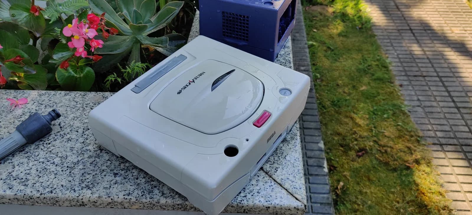 The Sega Saturn model 2 (front) and the indigo GameCube (behind) on a stone ledge outdoors, both shells washed after the retrobrite and noticeably better than at the start.