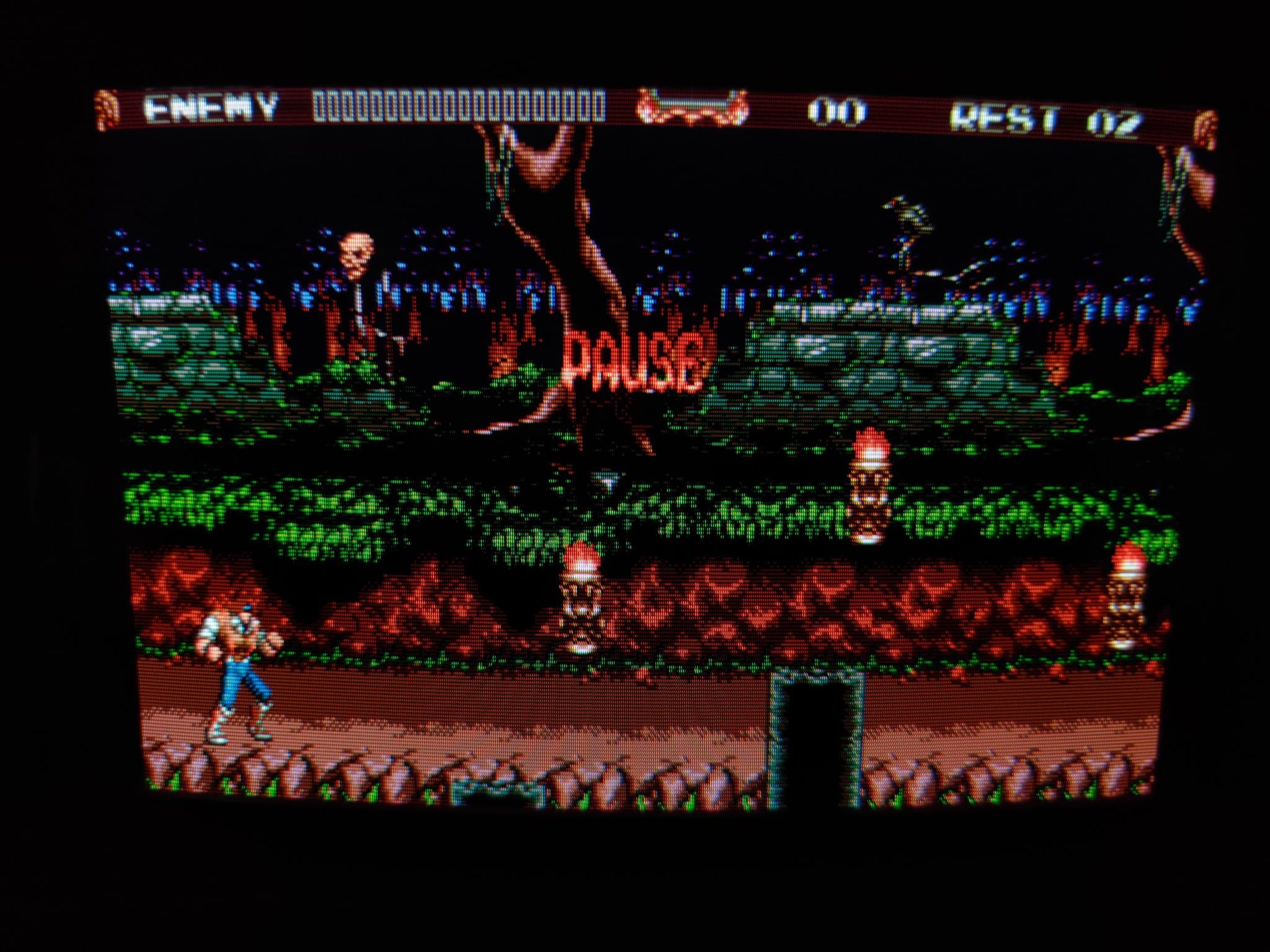 Castlevania gameplay on Sony BVM-D9H5J CRT monitor showing restored display after PSU capacitor replacement and rework cleanup.