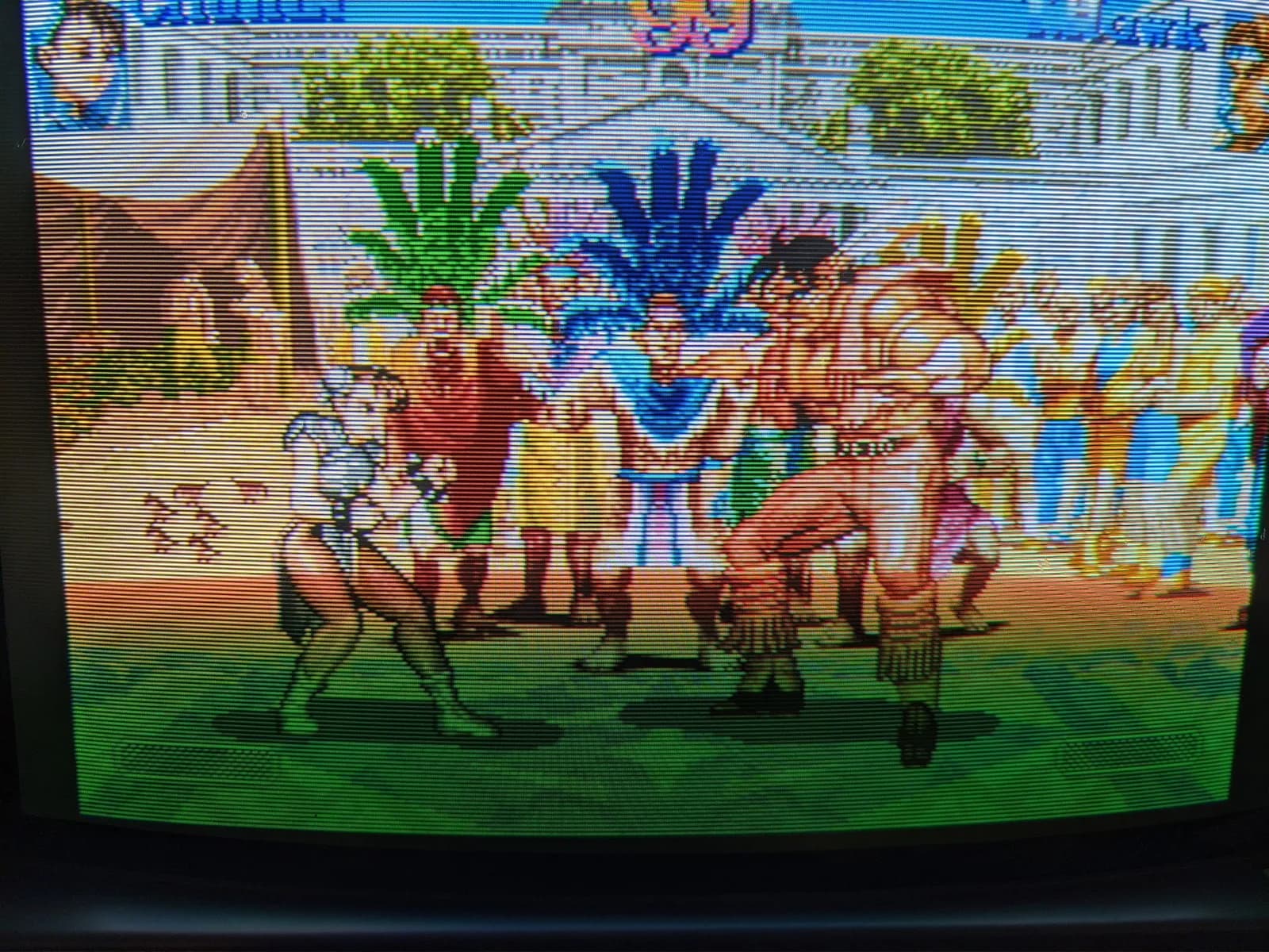 Street Fighter II on the Sony BVM-D14H1E, a fight on an outdoor stage with palm trees and a crowd in the stands, run from a 3DO over S-video at 240p through the BKM-127W, CRT scanlines visible.