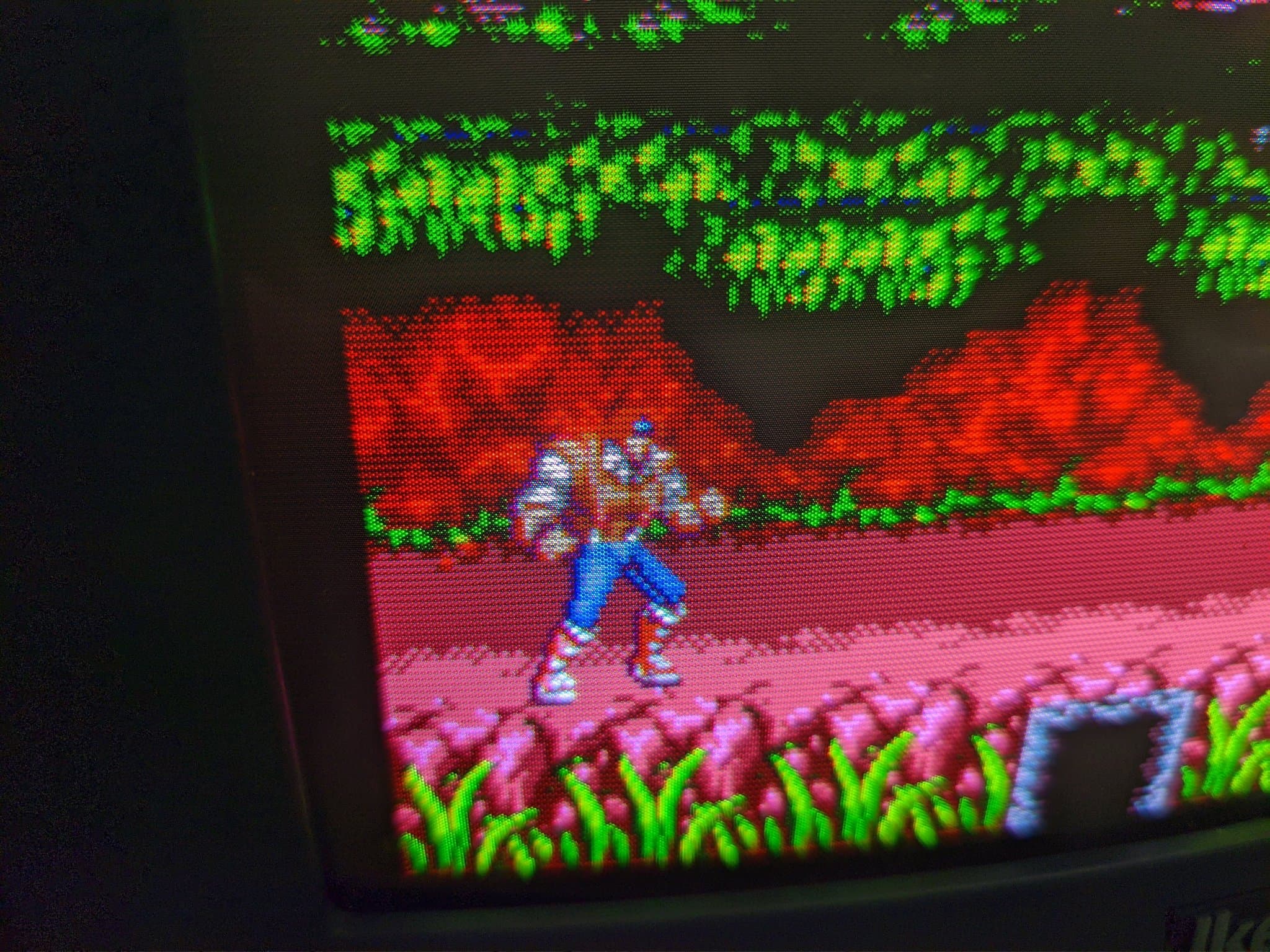 Close-up of Vampire Killer (Castlevania: Bloodlines) on a CRT: a character in blue on a pink ledge with green grass, flowers, and a band of red rock behind.