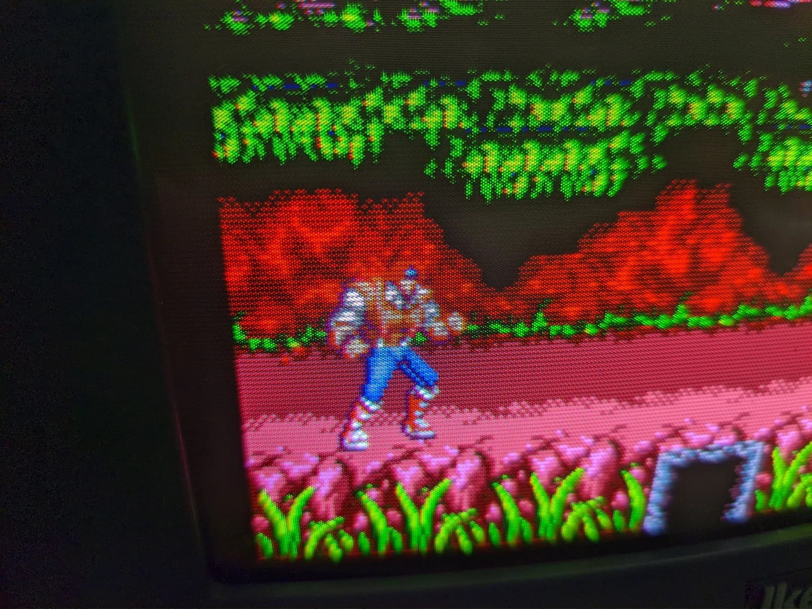 Macro close-up of the Ikegami TM10-17RA's shadow mask, the phosphor dots visible over a frame of Vampire Killer (Castlevania: Bloodlines): John Morris in blue on an earthy-toned floor with green grass, flowers, and a band of red rock behind.