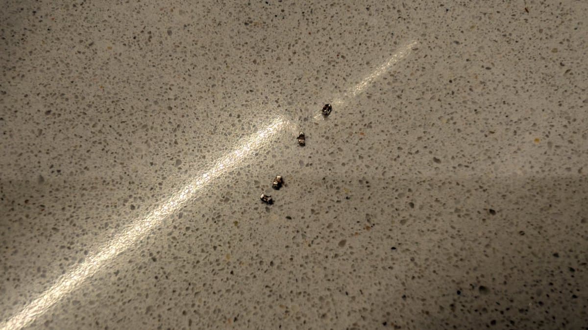 Close-up of Sony PVM-14L1 circuit board showing solder joints and component leads along a white trace line during RGB mod assembly.